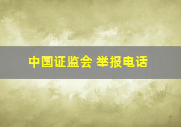 中国证监会 举报电话